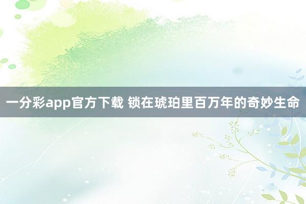 一分彩app官方下载 锁在琥珀里百万年的奇妙生命