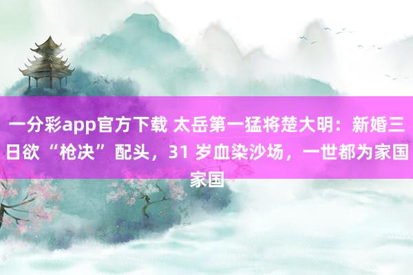 一分彩app官方下载 太岳第一猛将楚大明：新婚三日欲 “枪决” 配头，31 岁血染沙场，一世都为家国