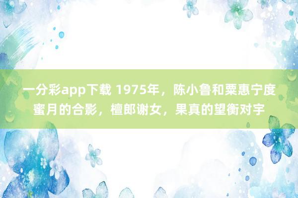 一分彩app下载 1975年，陈小鲁和粟惠宁度蜜月的合影，檀郎谢女，果真的望衡对宇