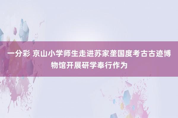 一分彩 京山小学师生走进苏家垄国度考古古迹博物馆开展研学奉行作为
