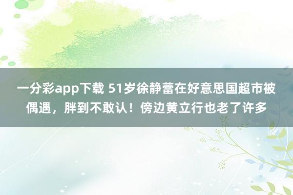 一分彩app下载 51岁徐静蕾在好意思国超市被偶遇，胖到不敢认！傍边黄立行也老了许多