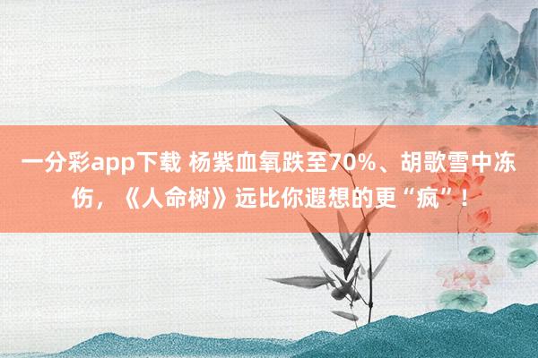 一分彩app下载 杨紫血氧跌至70%、胡歌雪中冻伤，《人命树》远比你遐想的更“疯”！
