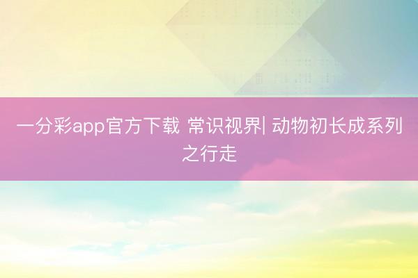 一分彩app官方下载 常识视界| 动物初长成系列之行走