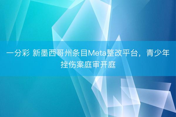 一分彩 新墨西哥州条目Meta整改平台，青少年挫伤案庭审开庭