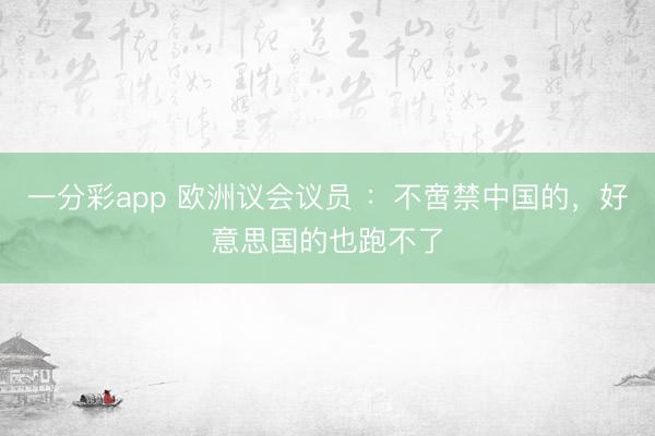 一分彩app 欧洲议会议员 ：不啻禁中国的，好意思国的也跑不了